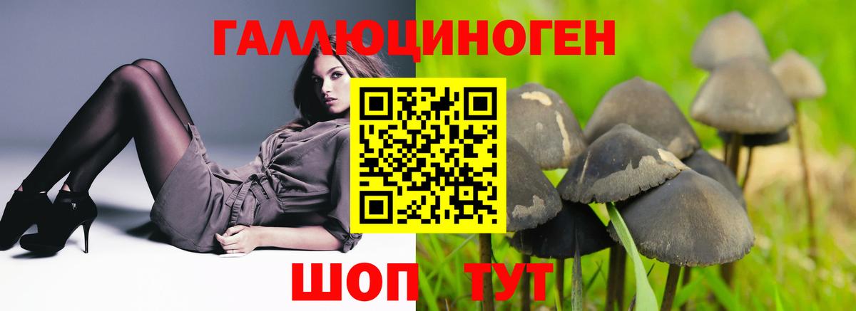 Галлюциногенные грибы мицелий Усть-Джегута